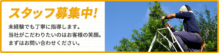 スタッフ募集中! 未経験でも丁寧に指導します。当社がこだわりたいのはお客様の笑顔。まずはお問い合わせください。