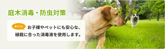 庭木消毒・防虫対策