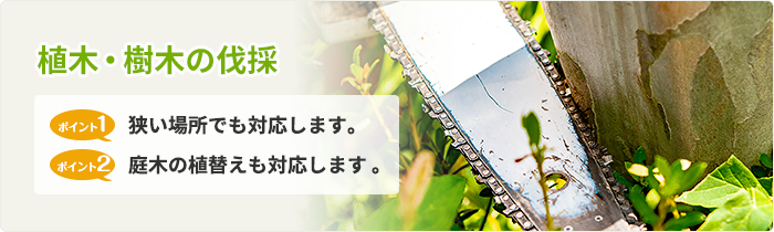 植木・樹木の伐採