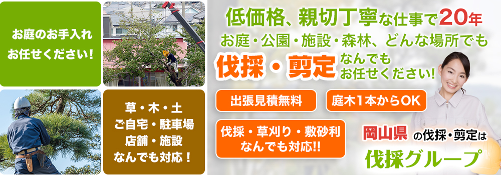 低価格、親切丁寧な仕事で20年庭と植木の管理なら伐採グループへ 